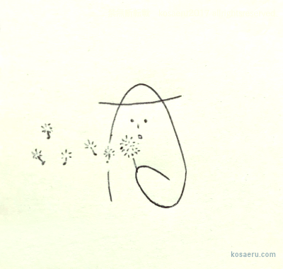 ５月１０日は「コットンの日」